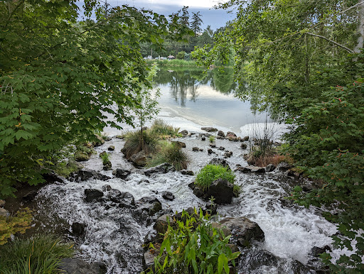 Talking Water Gardens - Thumbnail