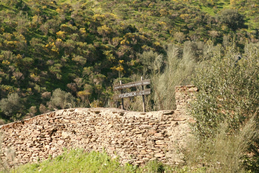 La Regofa - Visual
