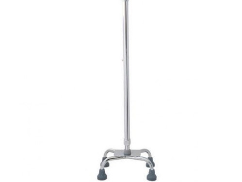 Walking stick
