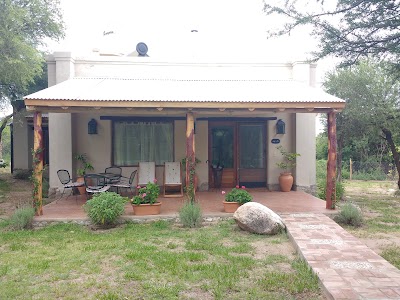 Photos of Dahlias. Posada Spa Ecological Natural Therapies