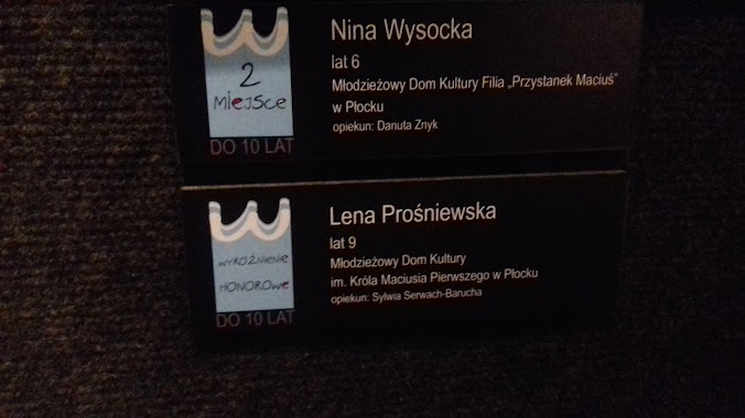 Płocka Galeria Sztuki, Author: Lena Prośniewska