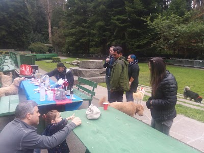 Stern Grove Concert Meadow