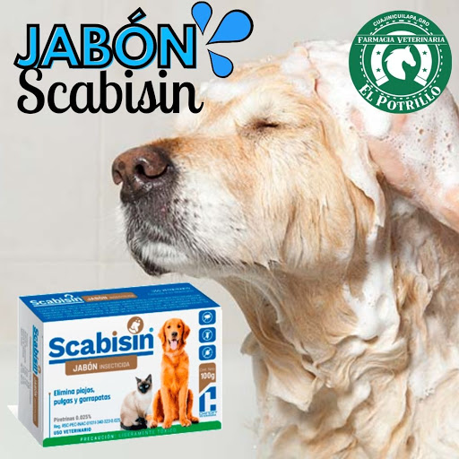 Distribuidora y Farmacia Veterinaria ¨El Potrillo¨