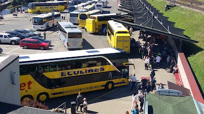 Photos of ECOLINES