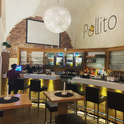 Pollito - Visual