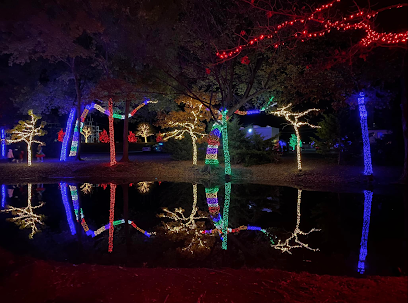 dent repair shop in Celina