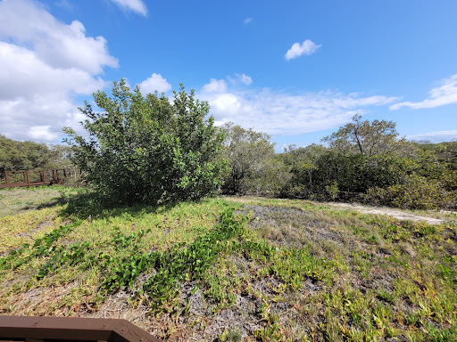 Paradise Mangrove boardwalk - Thumbnail