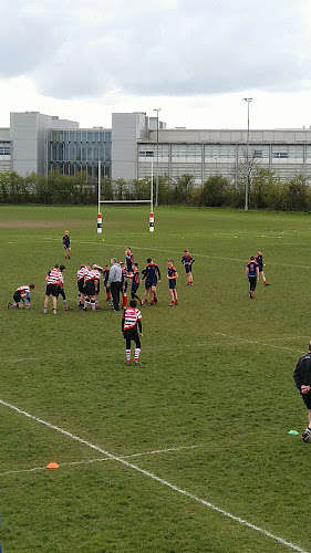 Comments and reviews of Novocastrians RFC