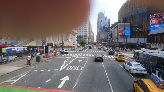 Gray Line New York