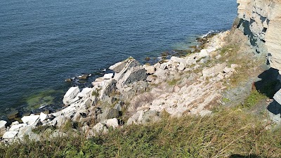 Photos of Pakri lighthouse
