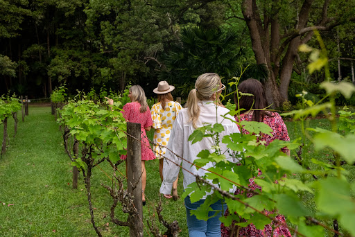 Central Coast Tours
