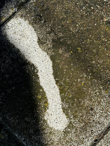 Steinreinigung Nf - Thumbnail