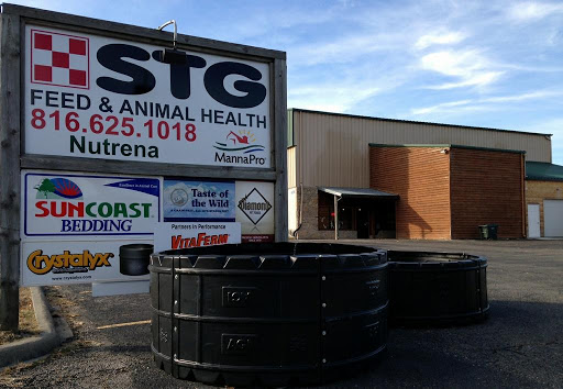 STG Feed - Visual