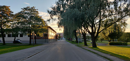 Rådhusparken - Thumbnail