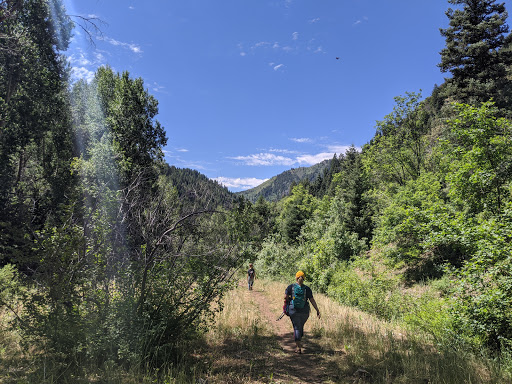 Salt Creek Canyon Trail Falls - Thumbnail