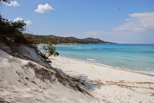 Photo de Fior di Rena à Saint-Florent (20217)