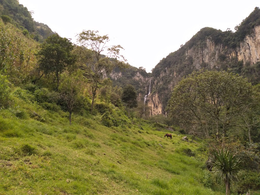 Tecotzingo - Visual