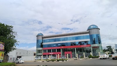 car-dealer