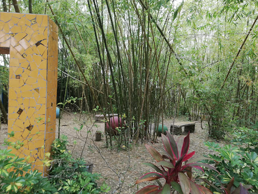 El Huerto Bamboo - Thumbnail
