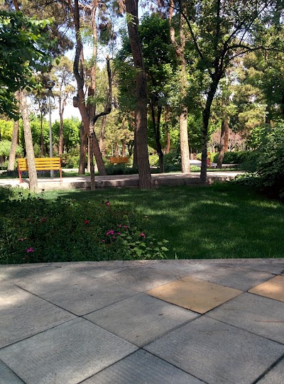 Photos of Sardar-e-Jangal Park