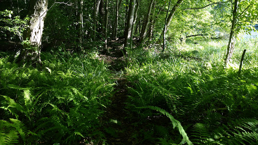 Kittatinny Valley State Park - Mt. Paul South Area Gallery - United States