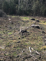 Photo n°14 de Moulin services et paysages à Laval-de-Cère (Service forestier)