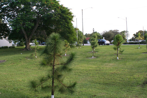 Mike Machek Boy Scout Park - Thumbnail