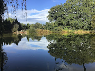 Photo n°41 de Ferme Boisquillon – Gîte & Chambres d’hôtes en Sologne à Marcilly-en-Gault (Location de cottage)