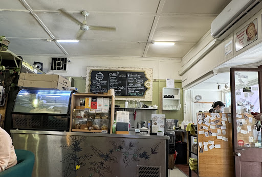 Scatter Bean - Visual