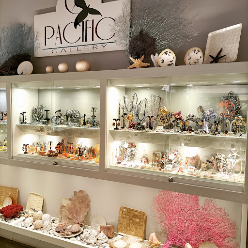 Pacific Gallery - Visual