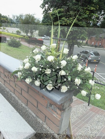 Photos of florister&iacute;a Montreal