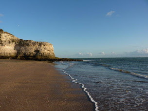 Photo n°40 de Camping Les Chênes Verts - Meschers sur Gironde à Meschers-sur-Gironde (Terrain de camping)