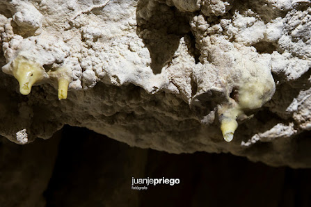 Cueva de los Murciélagos Carretera Local Cueva de los Murciélagos, Km 4, 14870 Zuheros, Córdoba, España