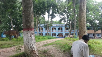 Photos of Pangsha Government College