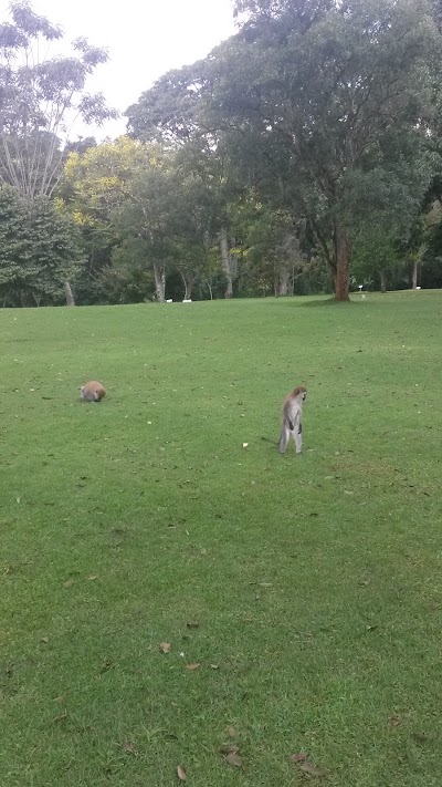 Photos of Chagaik Arboretum