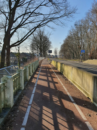 De Koel - Visual