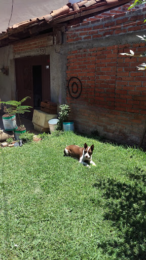 Africa Nevería - Thumbnail