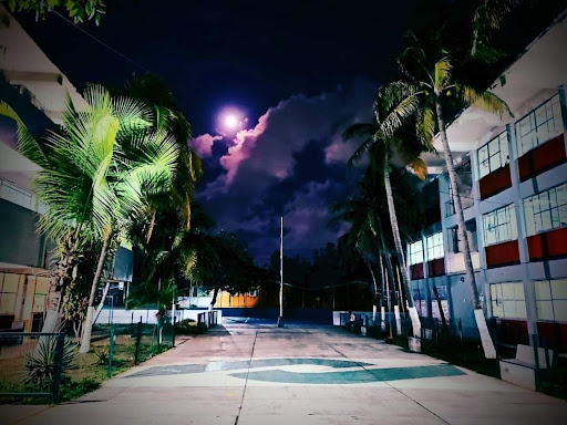 CONALEP VERACRUZ II - Thumbnail