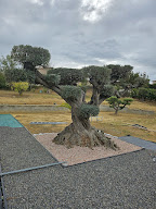 Jeremservices11 à Carcassonne