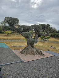 Photo n°1 de Jeremservices11 à Carcassonne (Piscine)