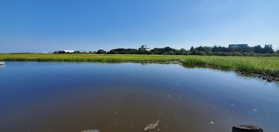 Cedar Creek Marina