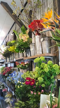 横浜 花幸 保土ヶ谷駅前店