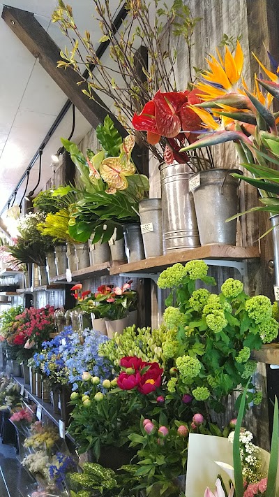 横浜 花幸 保土ヶ谷駅前店