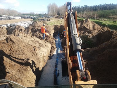Photos of Forestal Arauco