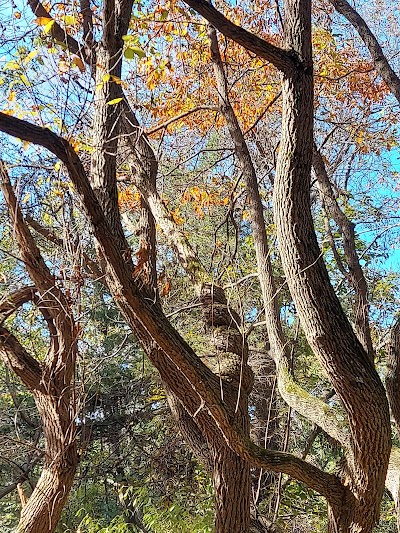 Wayne Fitzgerrell State Recreation Area