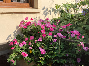 Photo n°7 de Les jardins de Fraîche Comté Chambres d’hôtes à la ferme, adaptées aux enfants à Roset-Fluans (Jardinier)