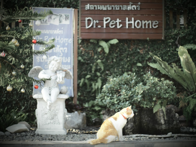 Dr.Pet Home
