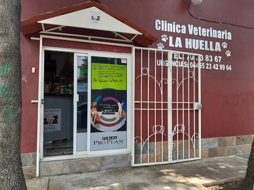 Veterinaria Huella Pet Santa Lucìa