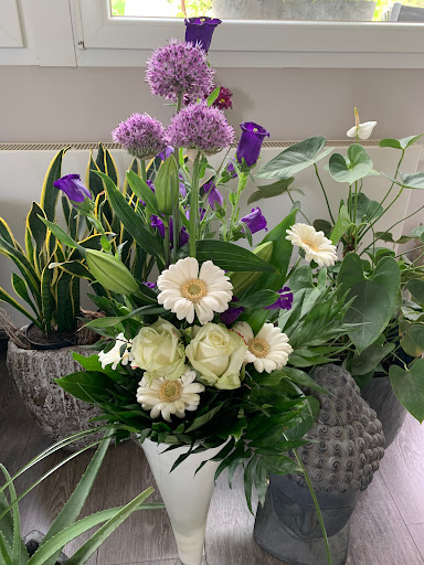 Blumen Huff Gallery - Netherlands