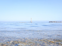 L'Œil Curieux - Cours et stages photo à Nantes